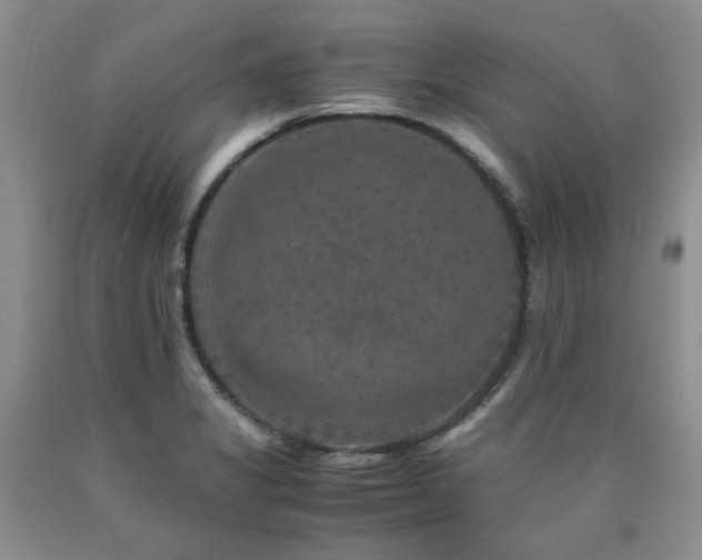 X0000090761325200707201455