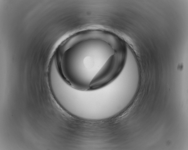 X0000090761326200707201455