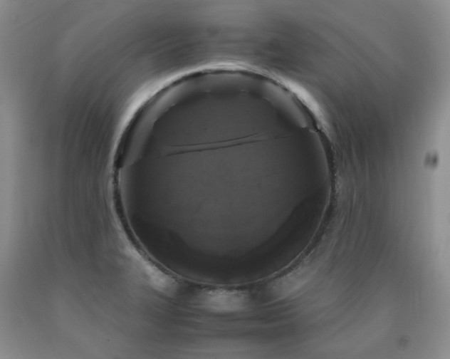 X0000090761327200707201455