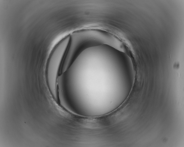 X0000090761328200707201455