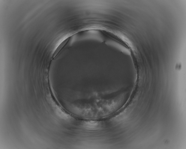 X0000090761329200707201455