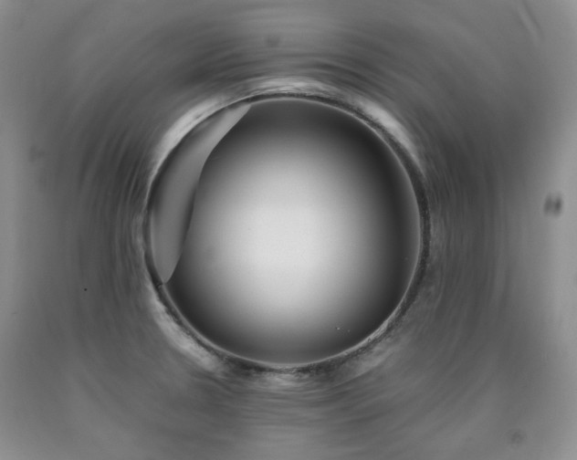 X0000090761330200707201455