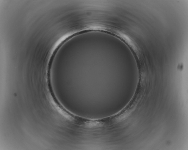 X0000090761331200707201455