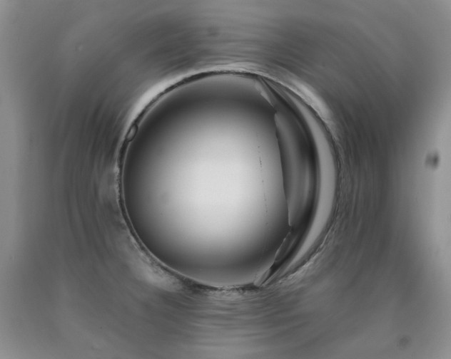 X0000090761332200707201455