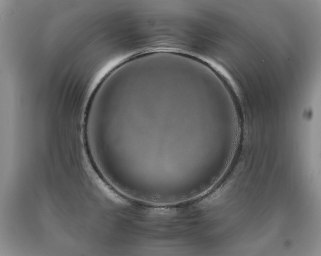 X0000090761333200707201455