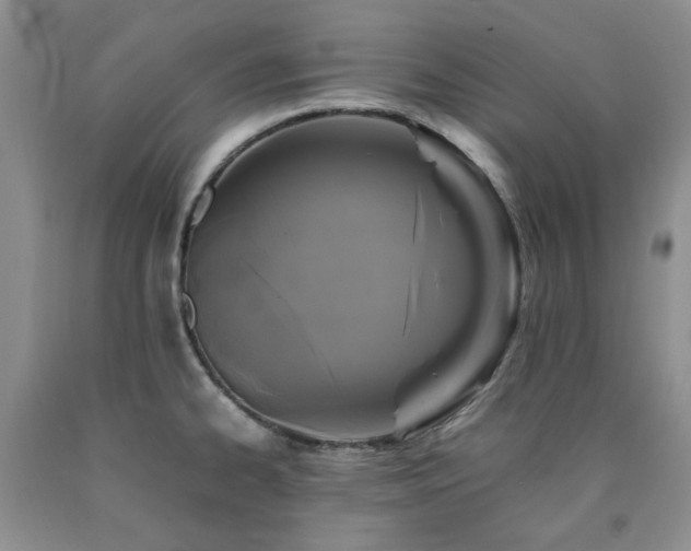 X0000090761334200707201455