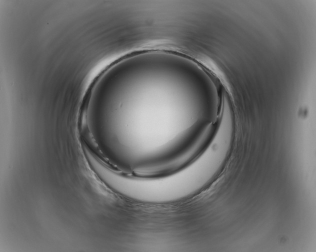 X0000090761336200707201455