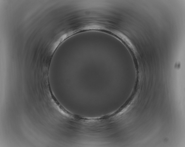 X0000090761337200707201455