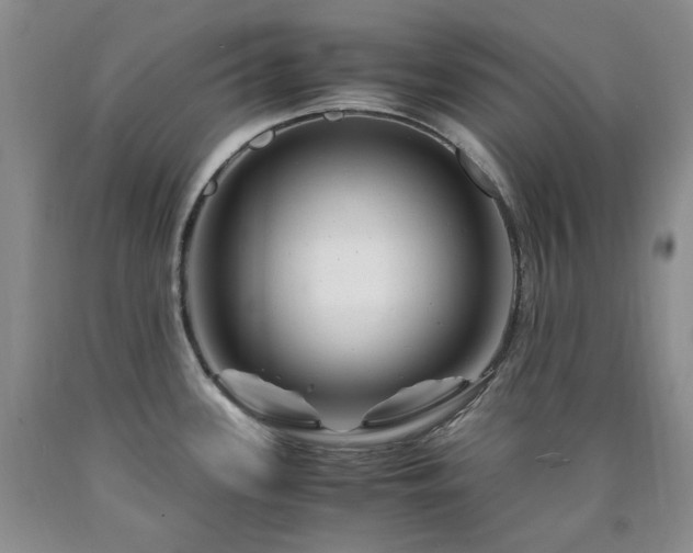 X0000090761339200707201455