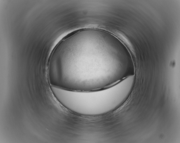 X0000090761340200707201455