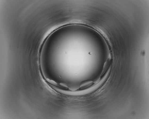 X0000090761342200707201456