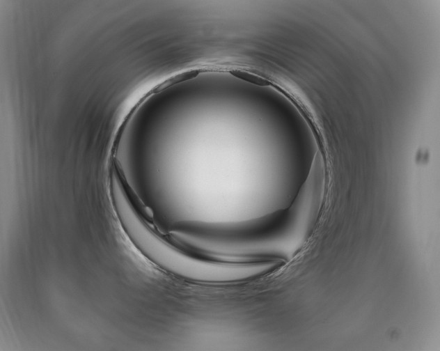 X0000090761344200707201456