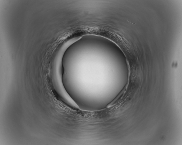 X0000090761345200707201455