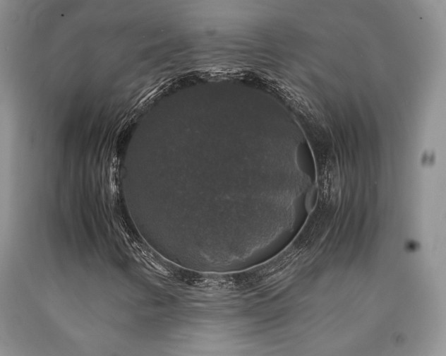 X0000090761346200707201455