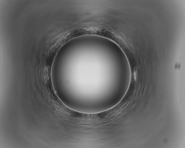 X0000090761347200707201455