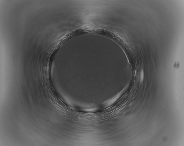 X0000090761348200707201455