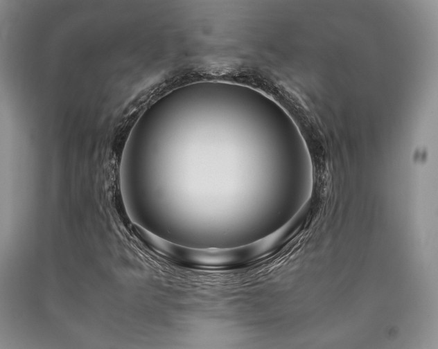 X0000090761349200707201455