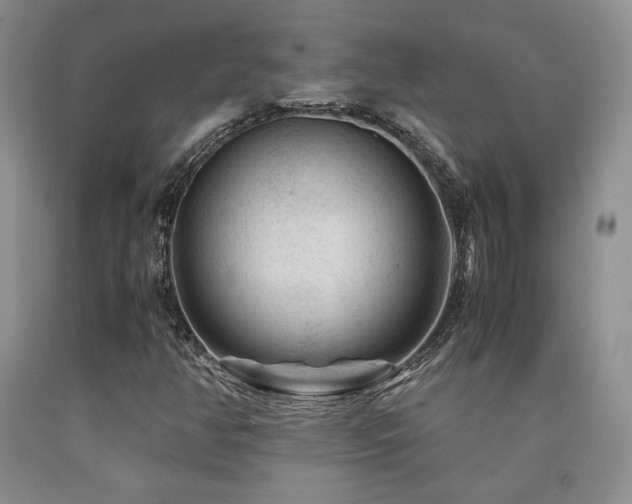 X0000090761350200707201455