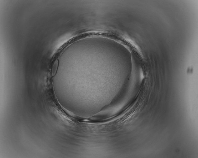 X0000090761352200707201455