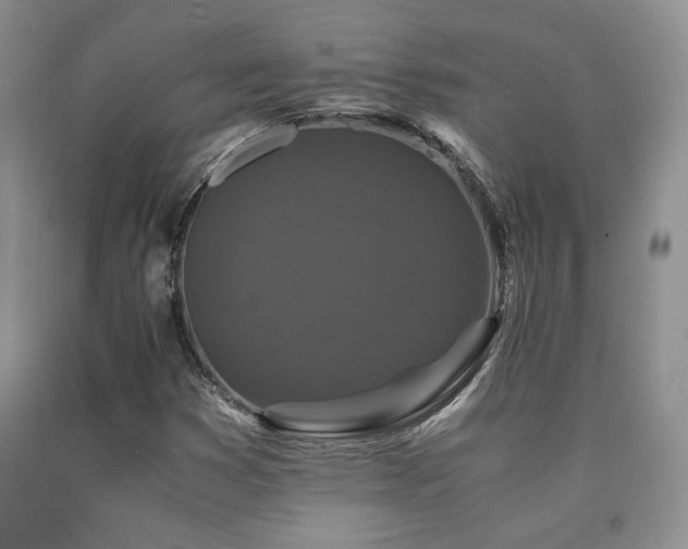 X0000090761353200707201455