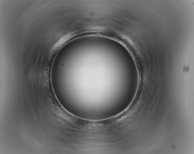 X0000090761354200707201455