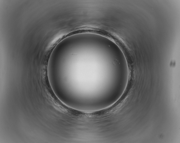 X0000090761355200707201455