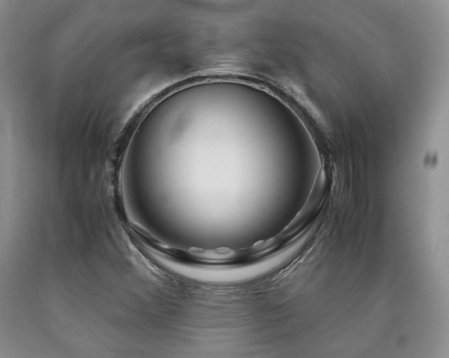 X0000090761356200707201455