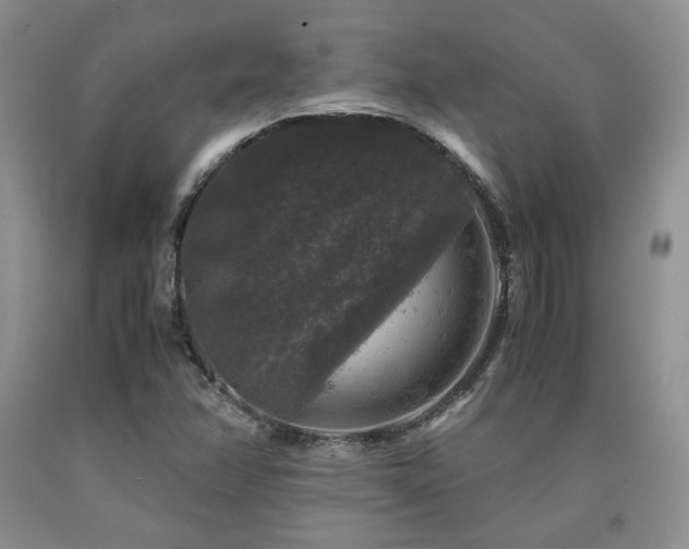 X0000090761358200707201455