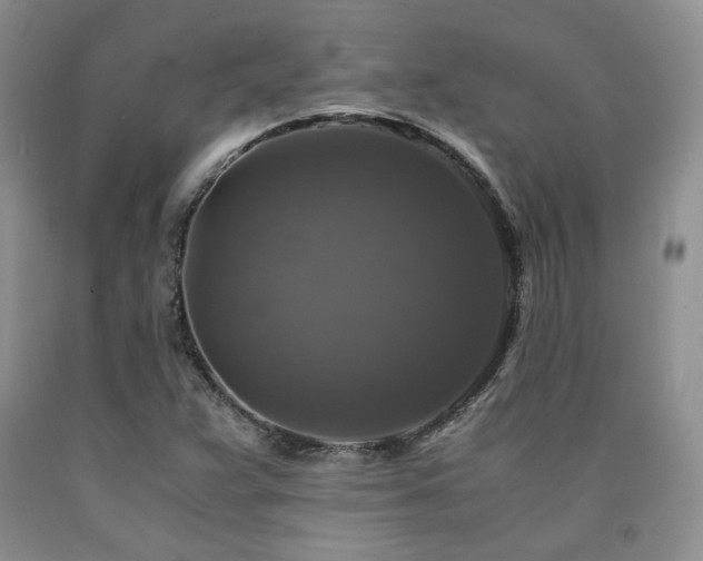 X0000090761359200707201455