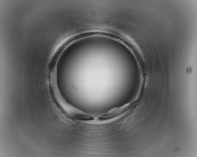 X0000090761360200707201455