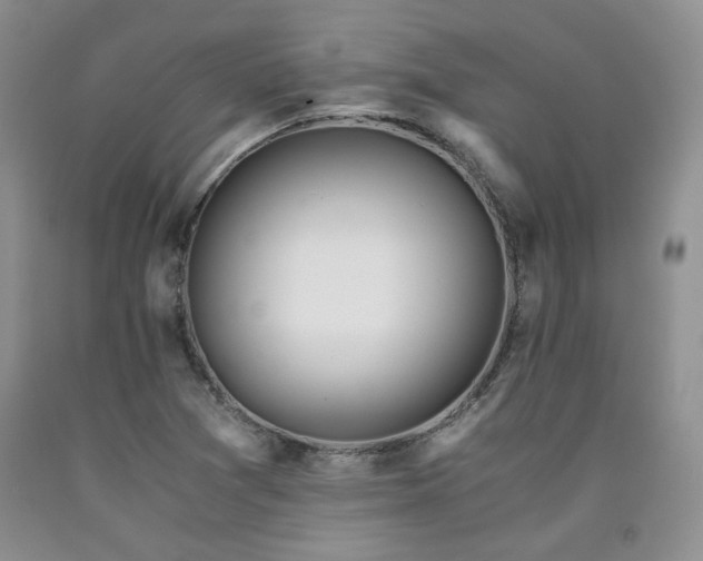 X0000090761361200707201455