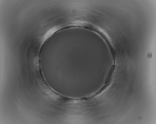 X0000090761362200707201455