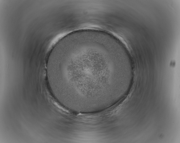 X0000090761363200707201455