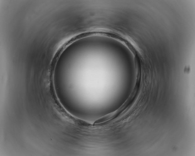 X0000090761364200707201455