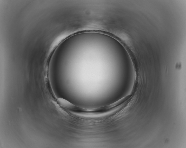 X0000090761366200707201455