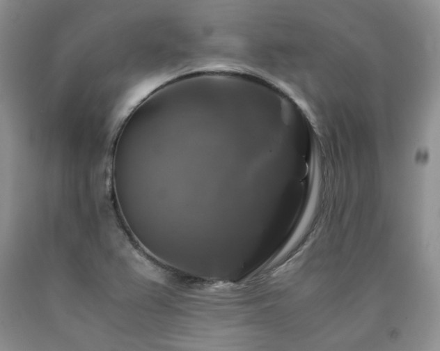 X0000090761367200707201455