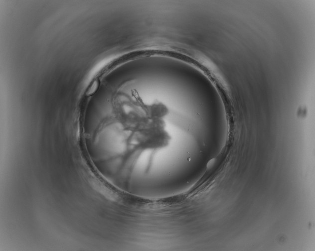 X0000090761368200707201455