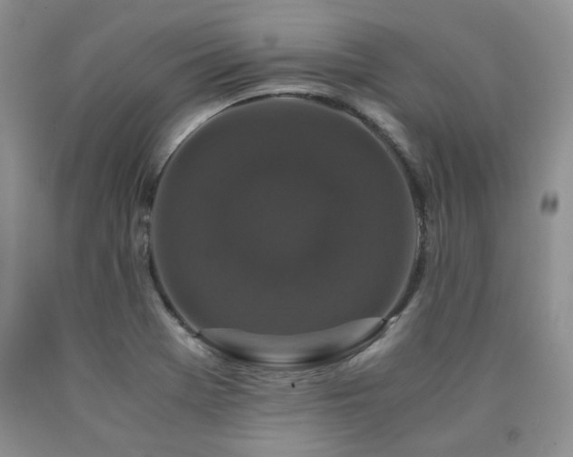 X0000090761369200707201455