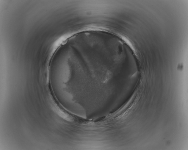 X0000090761371200707201455