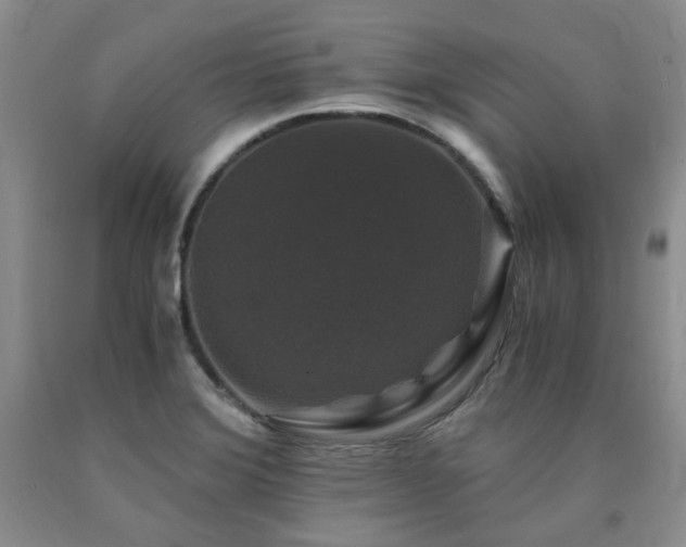 X0000090761372200707201455