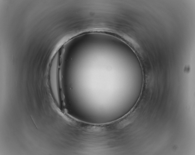 X0000090761374200707201455