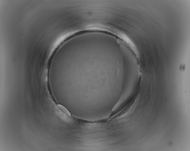 X0000090761376200707201455