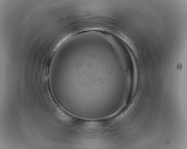 X0000090761377200707201455