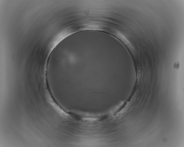 X0000090761378200707201455