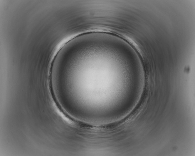 X0000090761379200707201455