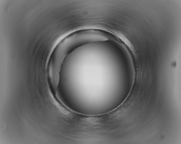 X0000090761380200707201455