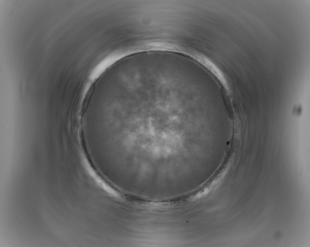 X0000090761381200707201454