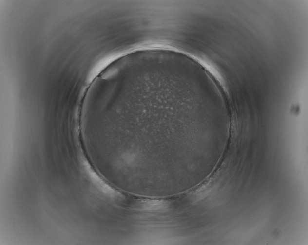 X0000090761382200707201454