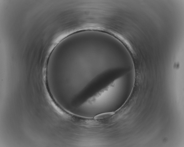 X0000090761383200707201454