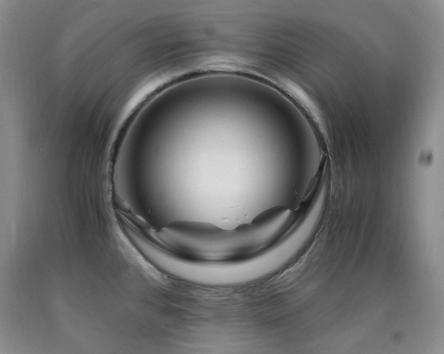 X0000090761384200707201454